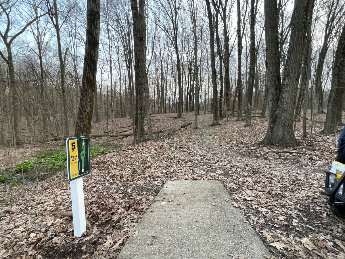 New Gold 5 tee sign