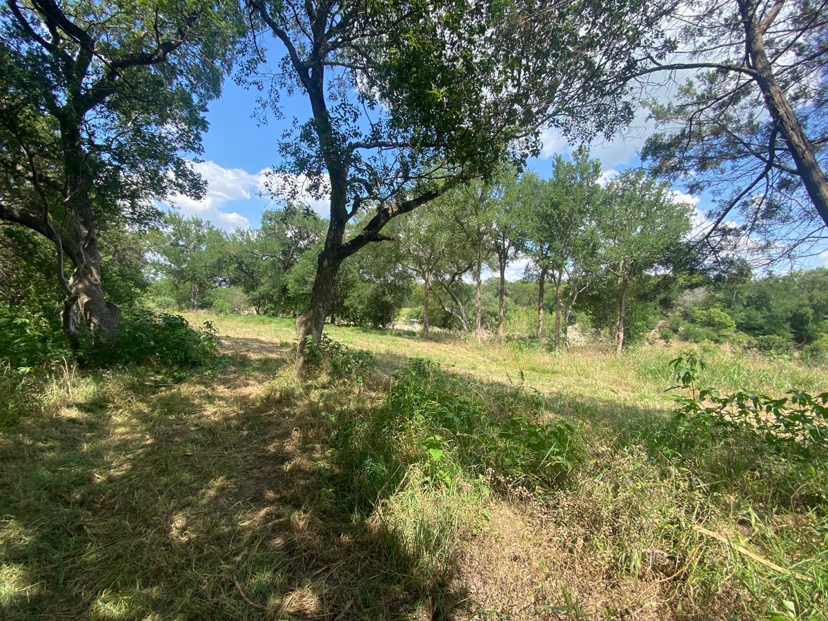 Hole 8 tee