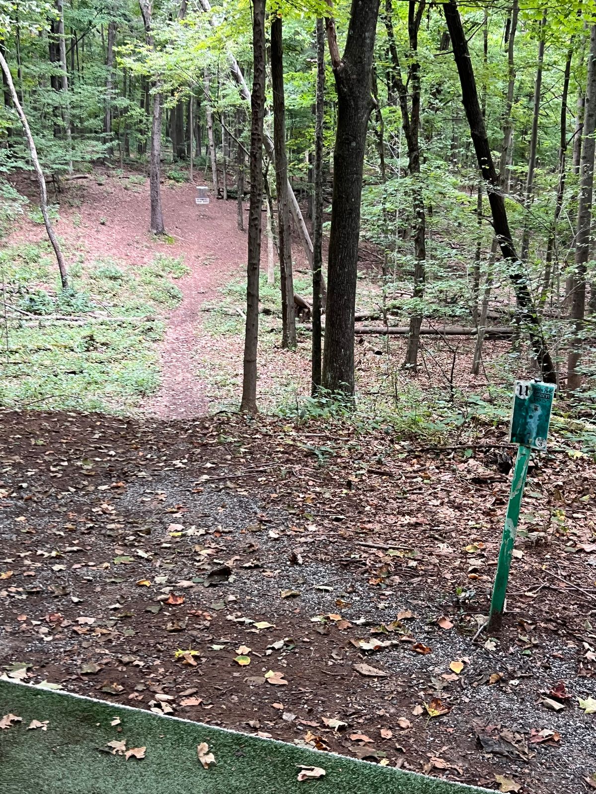 Hole #11