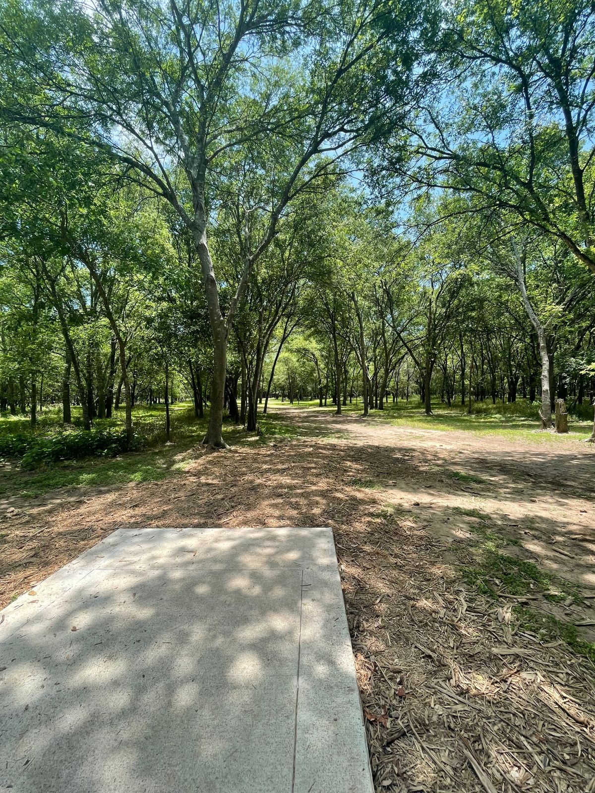 Short teebox