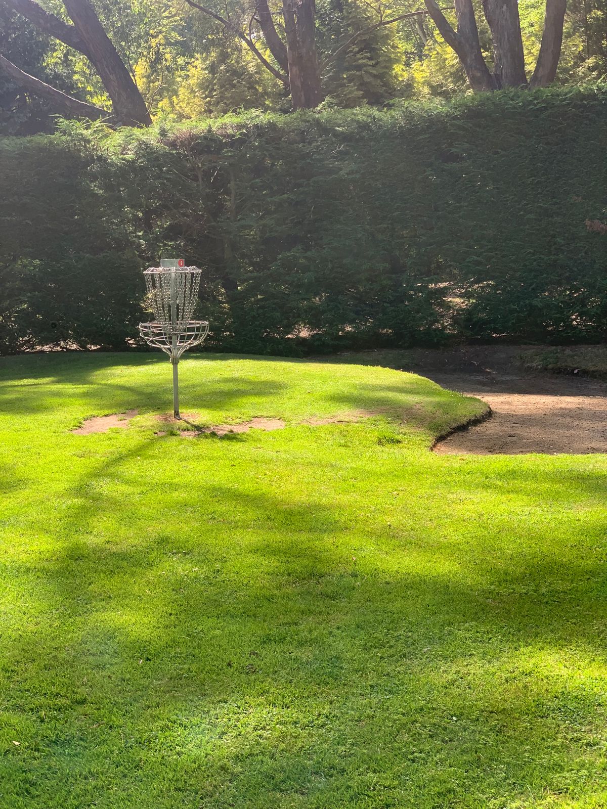 Hole Nine basket and bunker