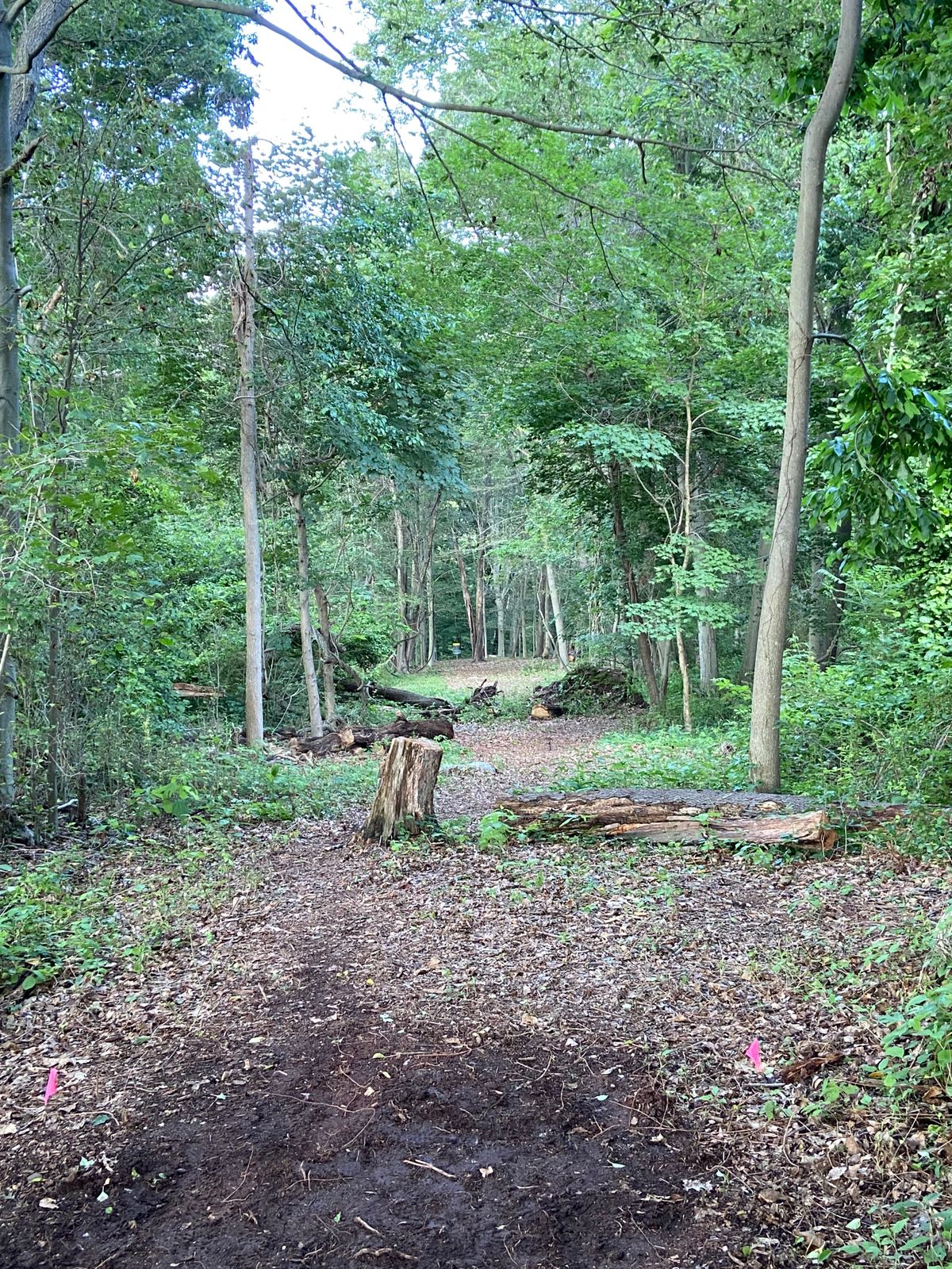 New hole 5