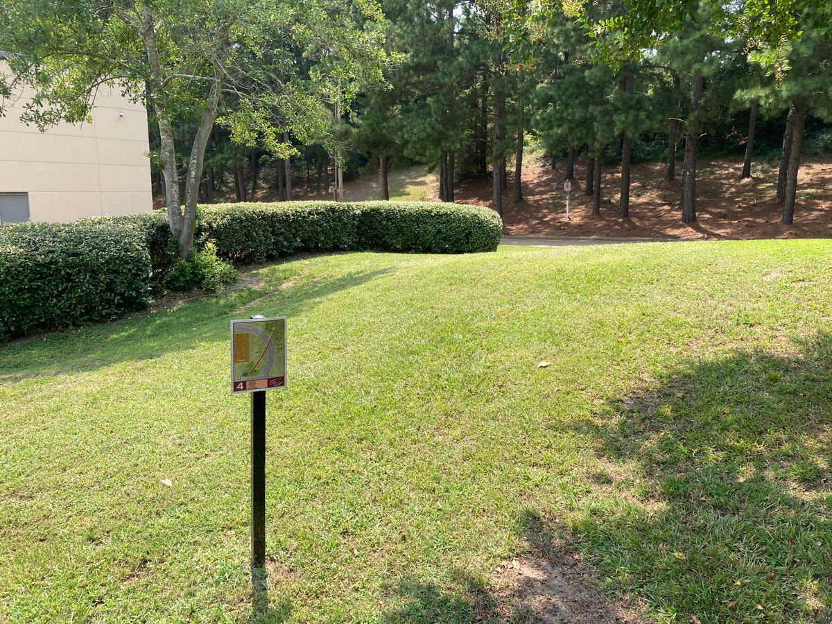 Hole 4 View
