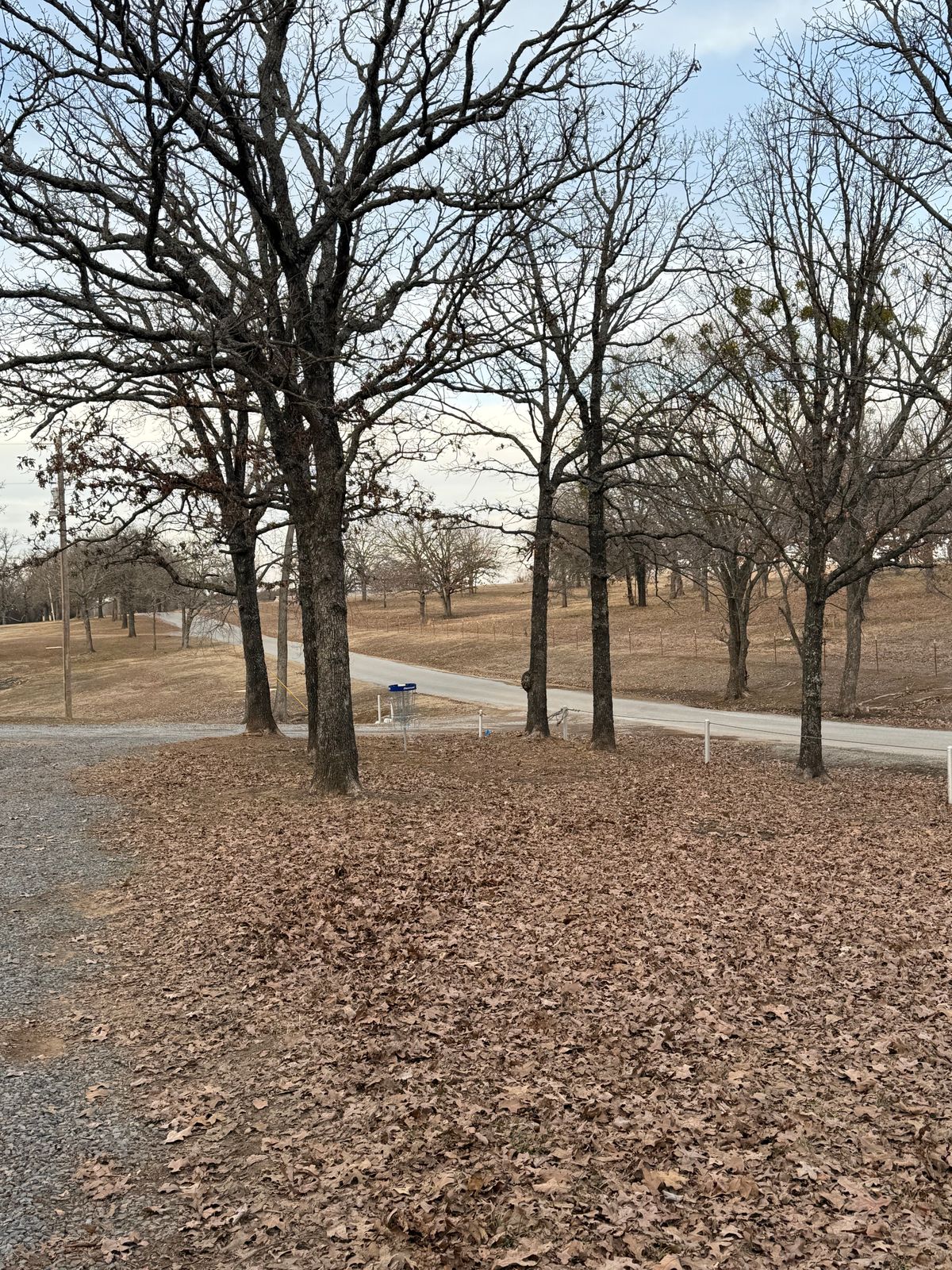 Hole 13 (Shorts) basket