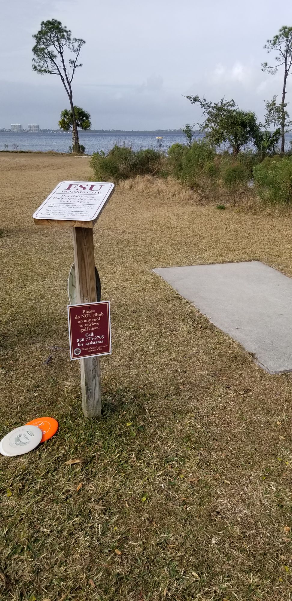 Hole 12 Tee Box