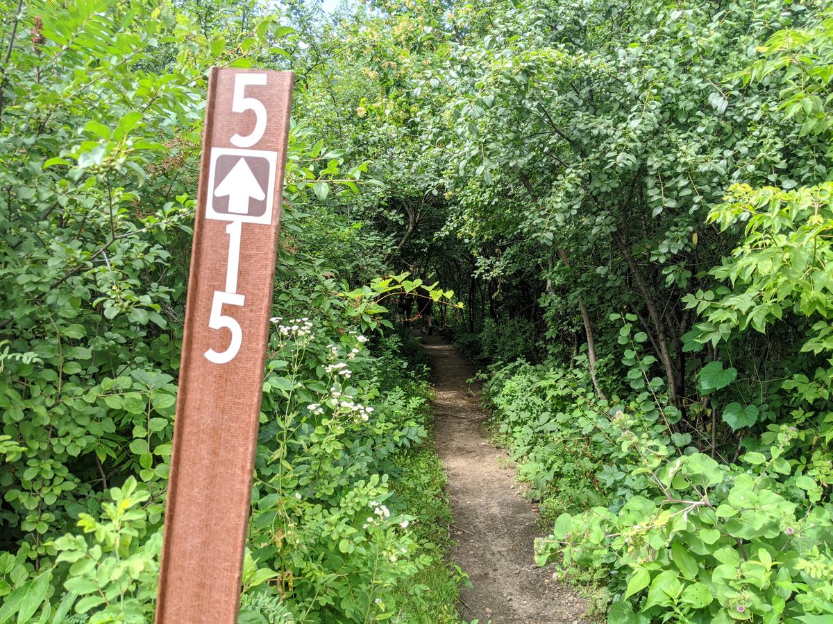 Signs help guide you to next tee pad