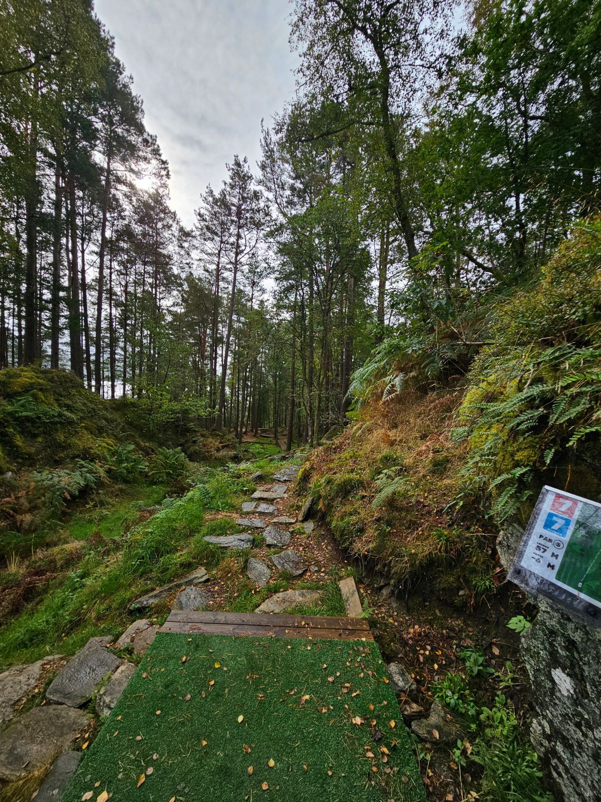 Tee of 7.