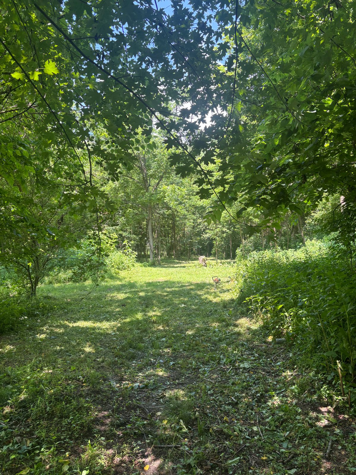 Hole 11