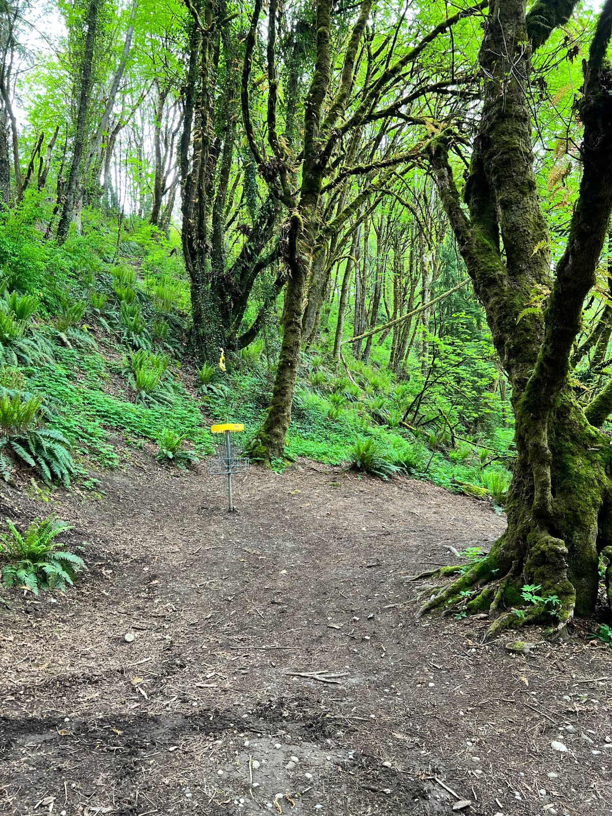 Hole 7 green