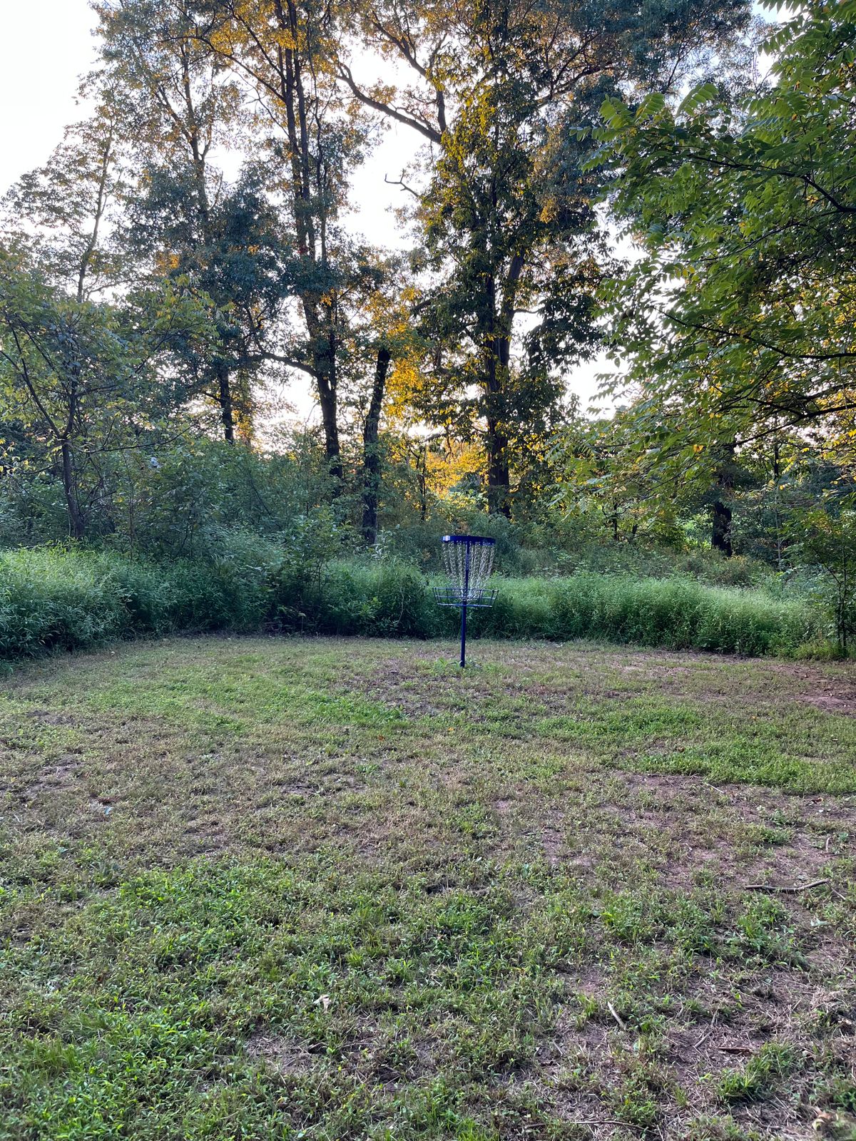 Hole 6