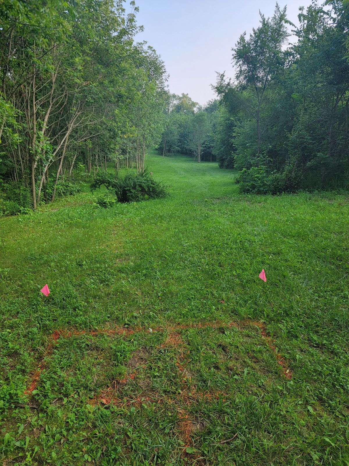 Hole 4