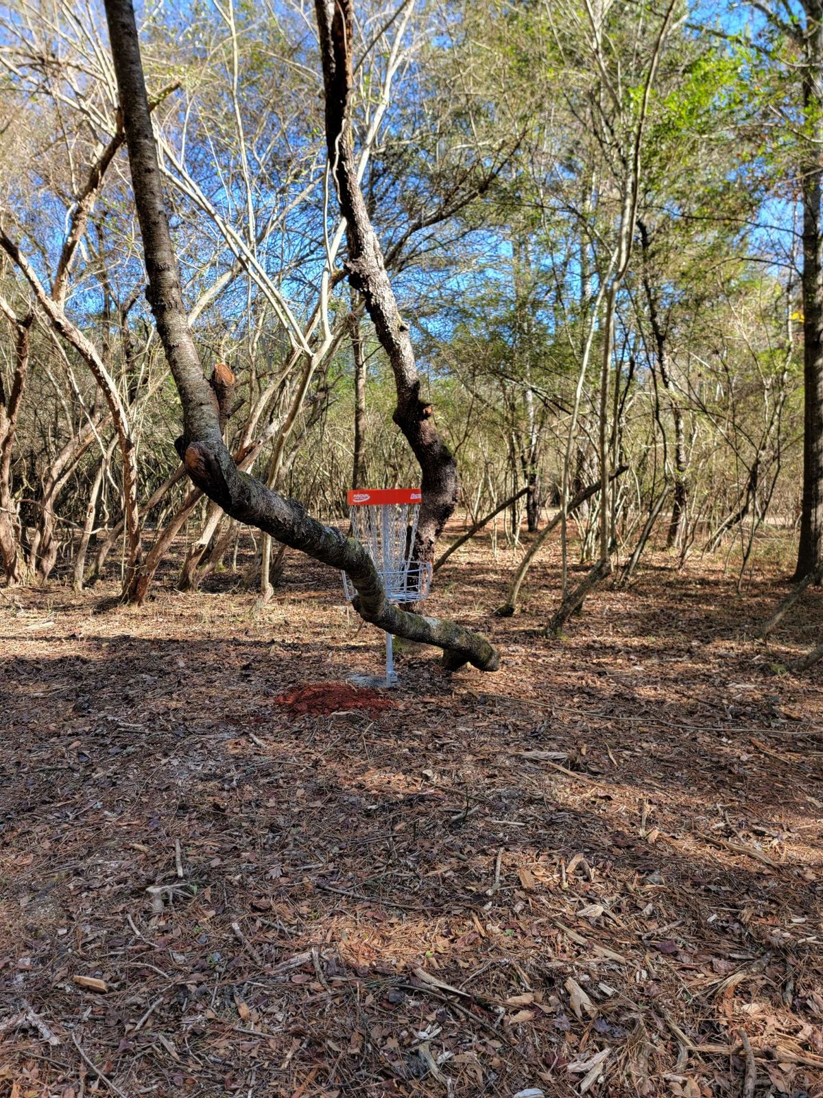 Red course