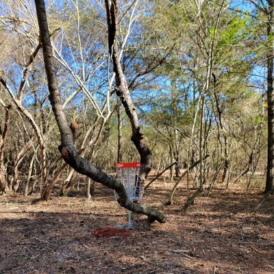 Red course