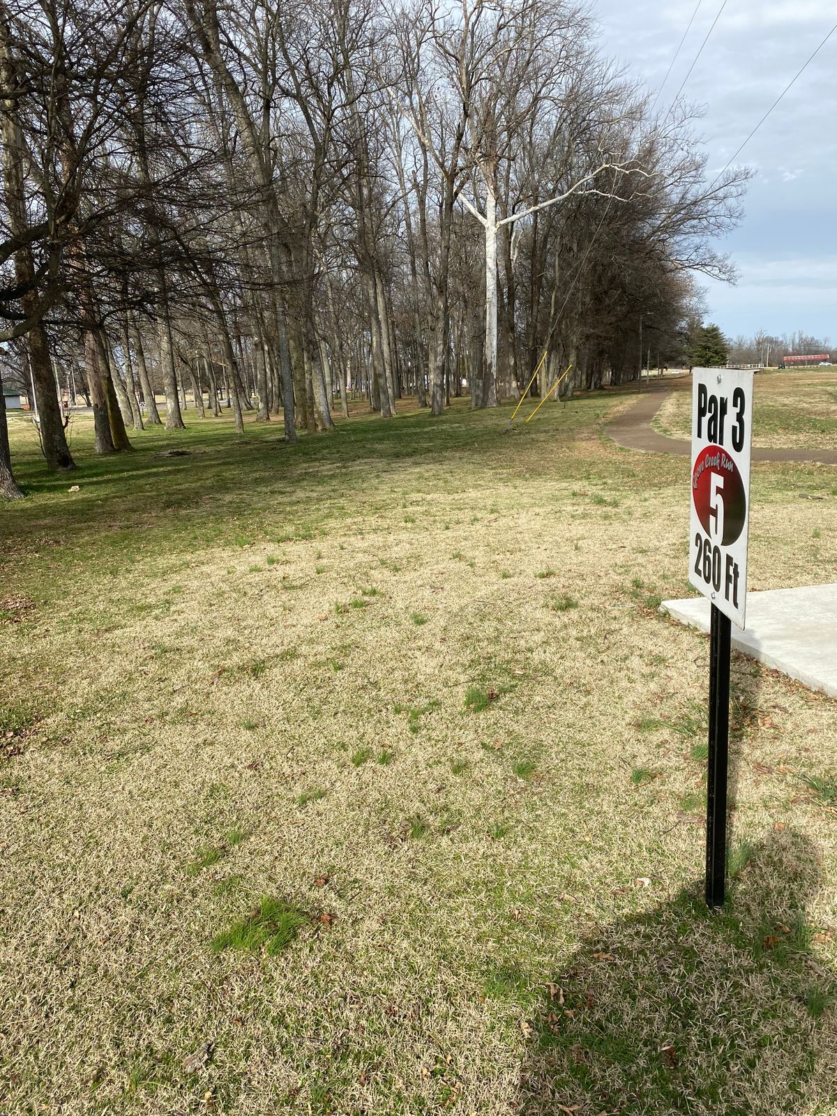 Open tee, but basket tucked in the trees