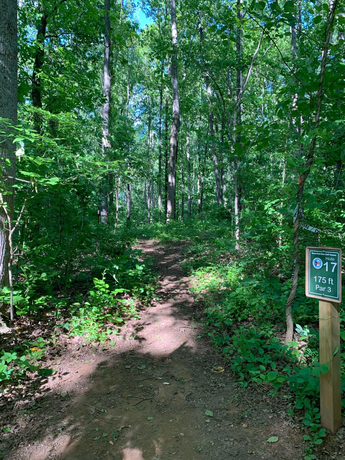 Hole 17 - Uphill and to the right.