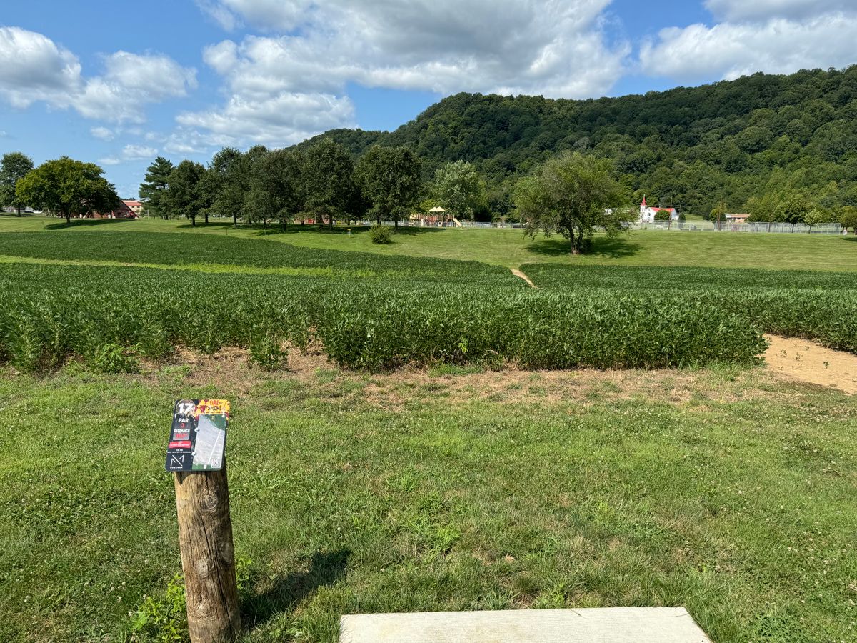 Hole 17 Tee