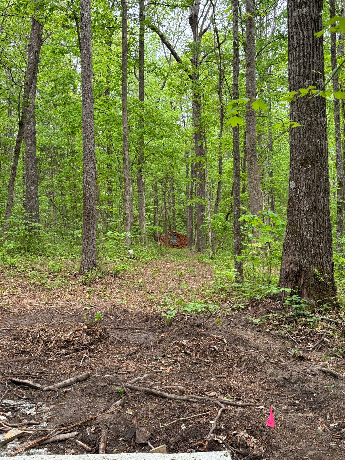 Hole 13