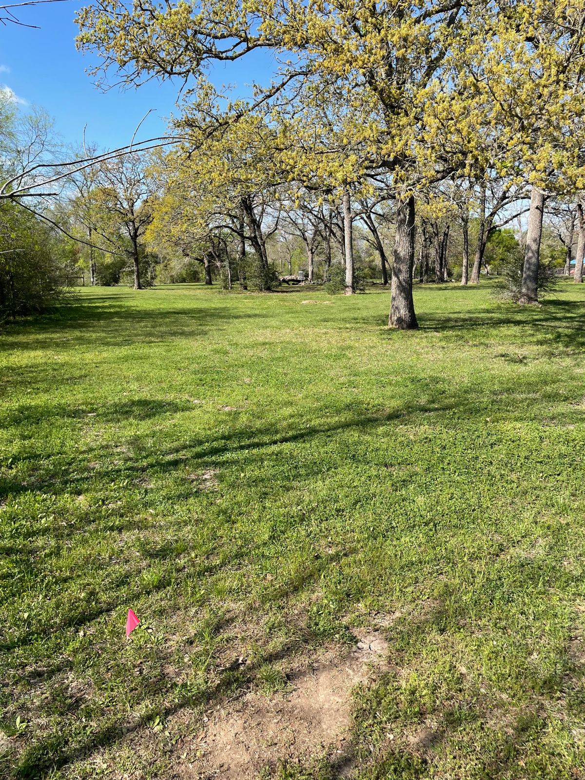 Hole 5