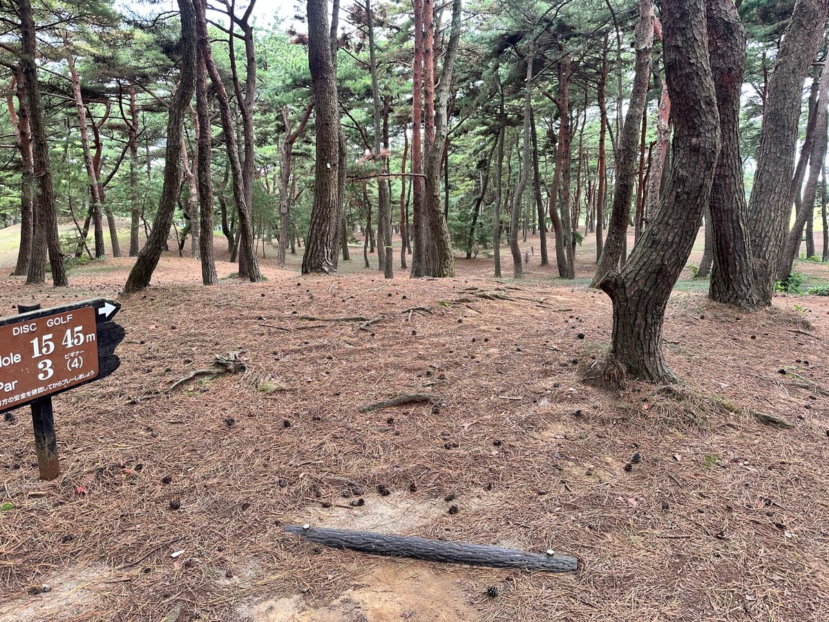 Hole 15