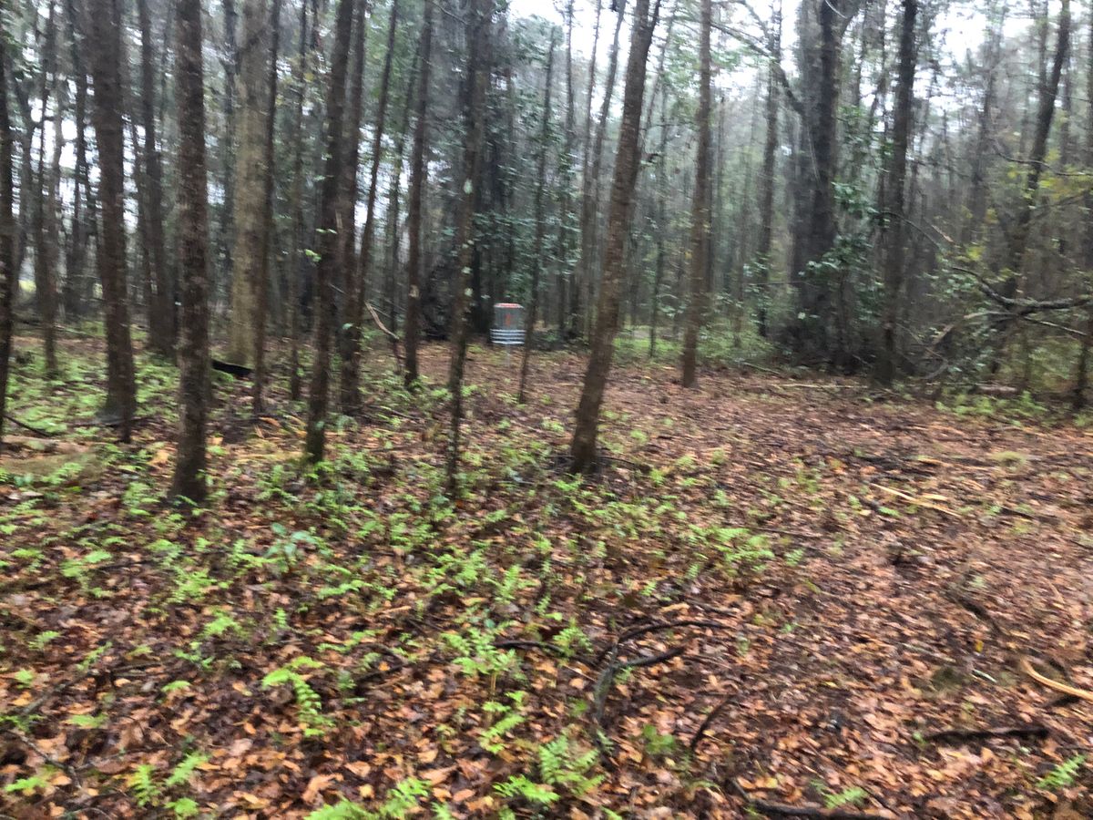 This is getting past the dogleg and getting a look from c2