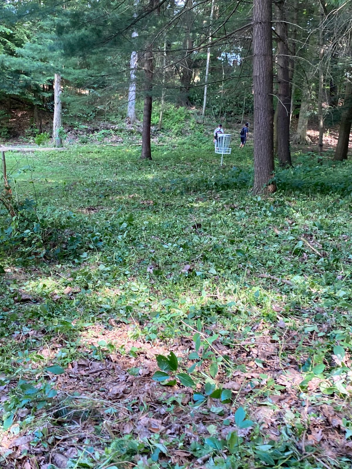 Hole 2 basket