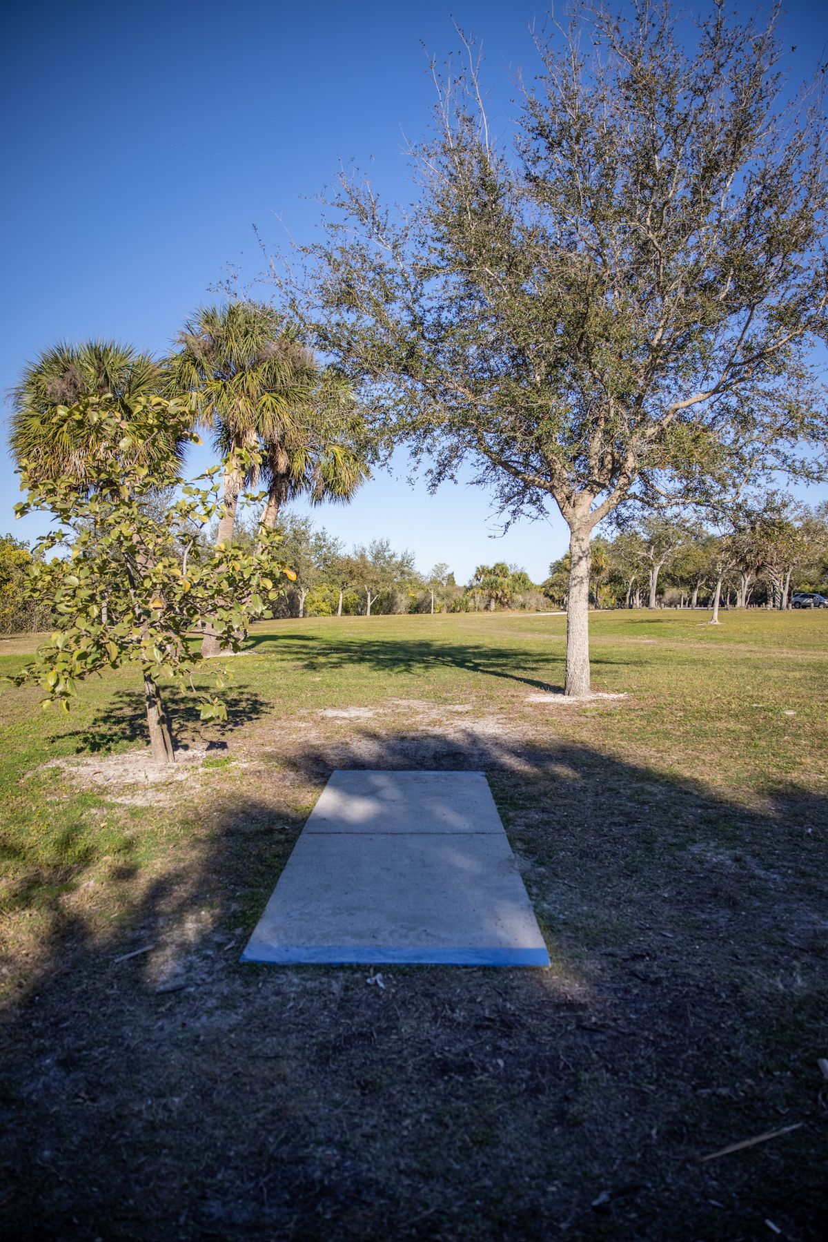 Hole 2 Long pads.