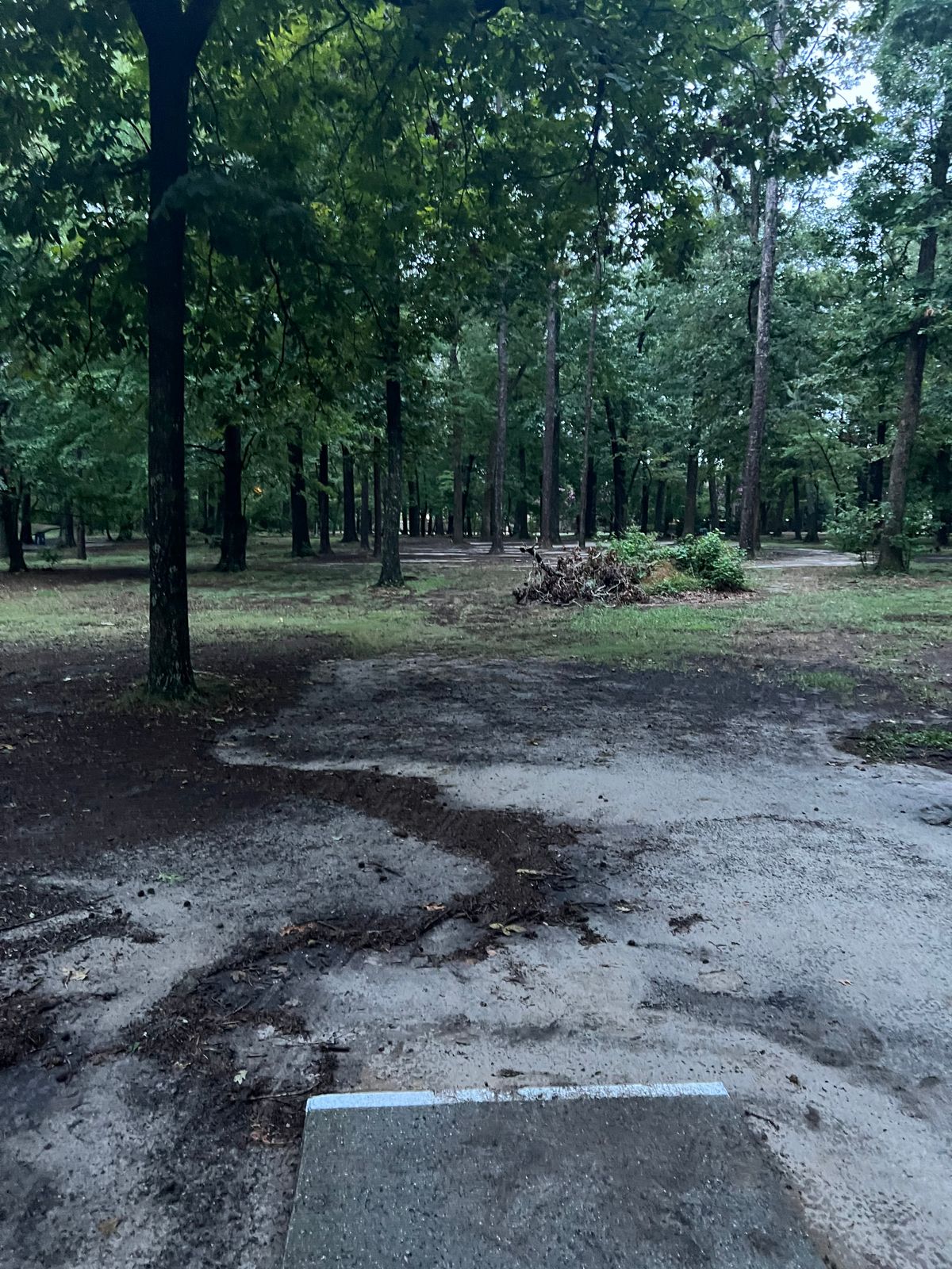 Hole 5
