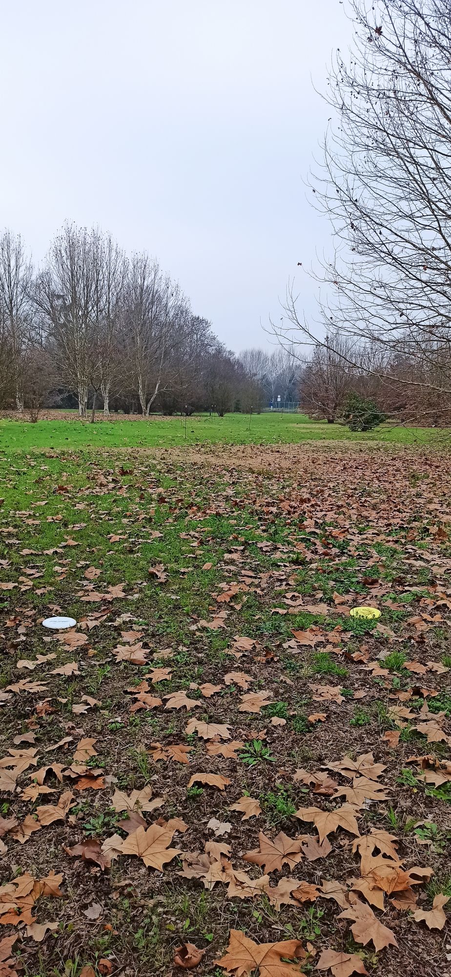 Hole 13 tee spot