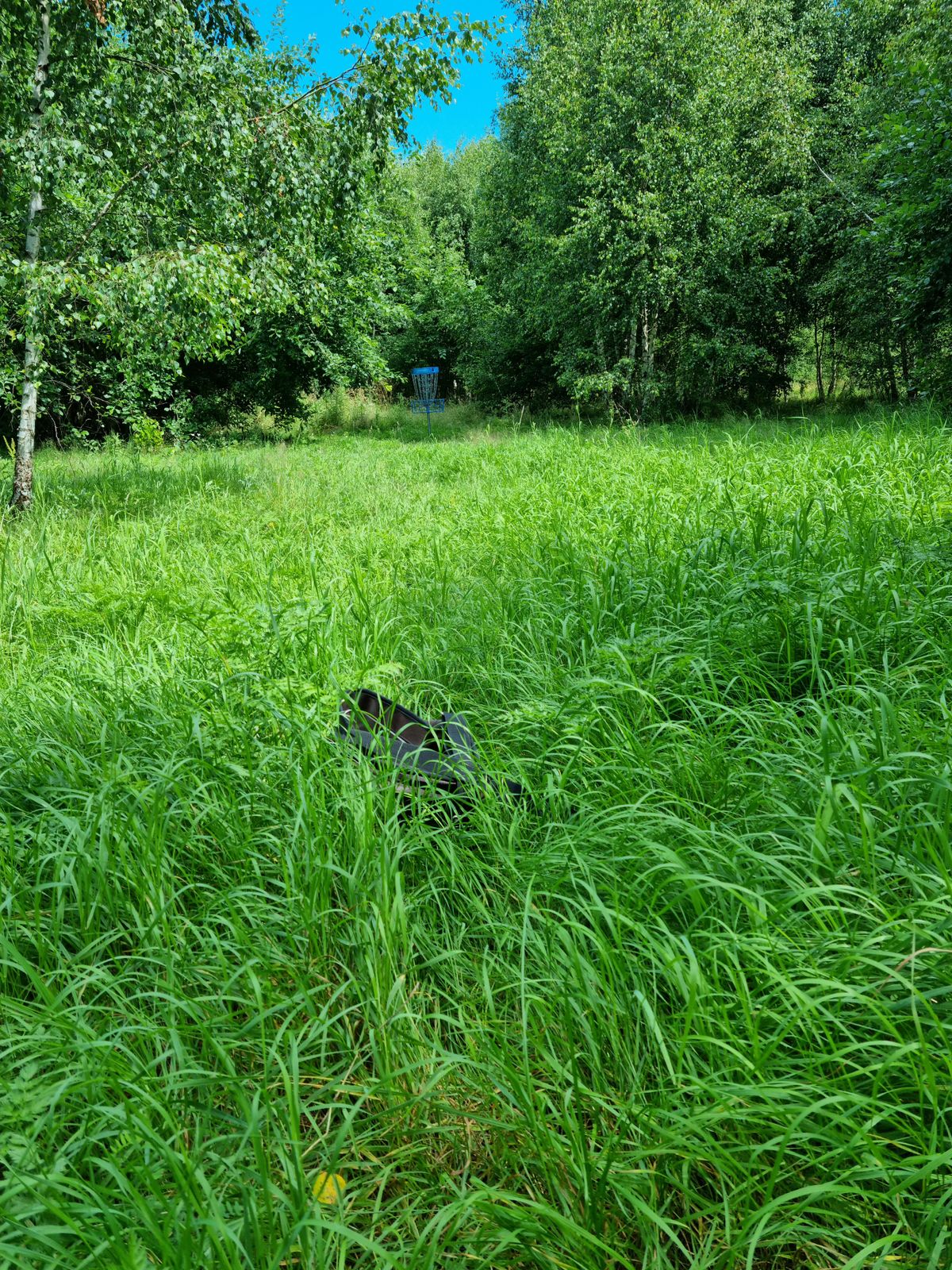 fairway mot hål 4, tyvärr är detta verkligheten majoriteten av tiden på sommaren pga obefintlig klippning...