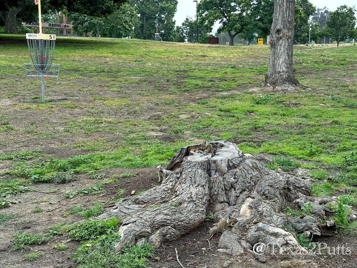 Hole 5