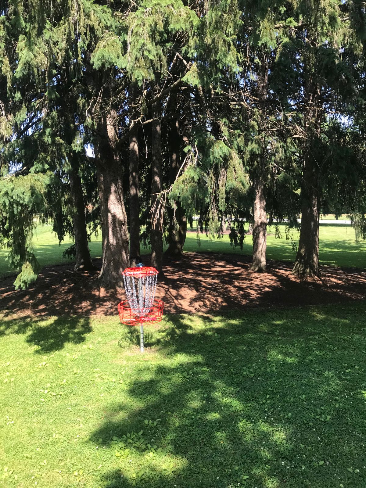 9th basket looking back towards tee