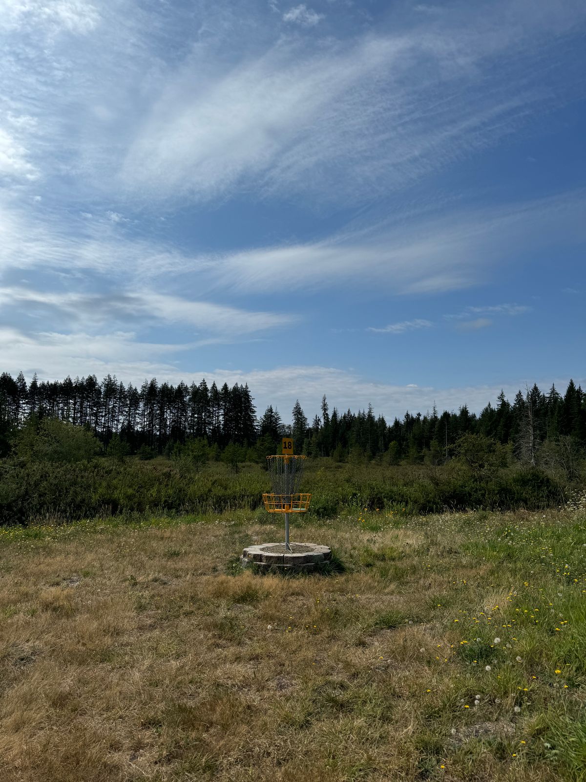 Hole 18 Basket