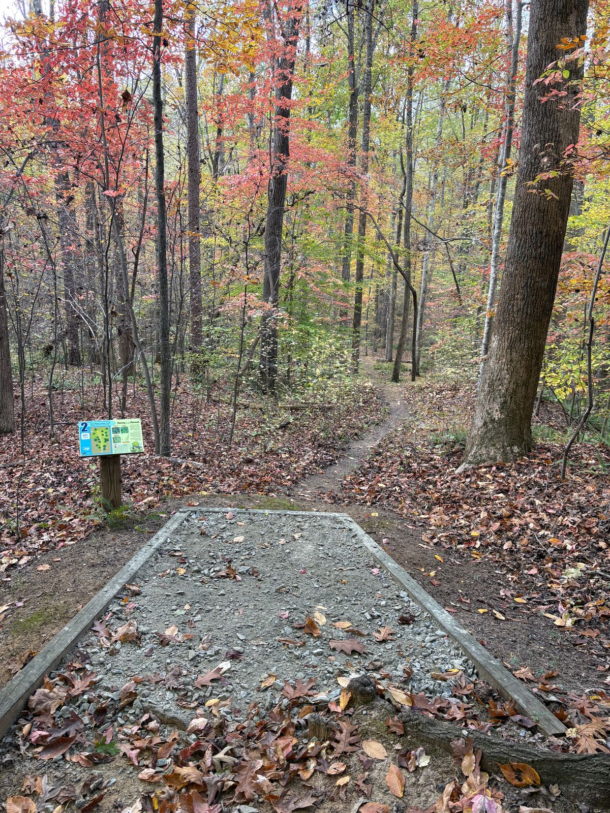 Hole 2