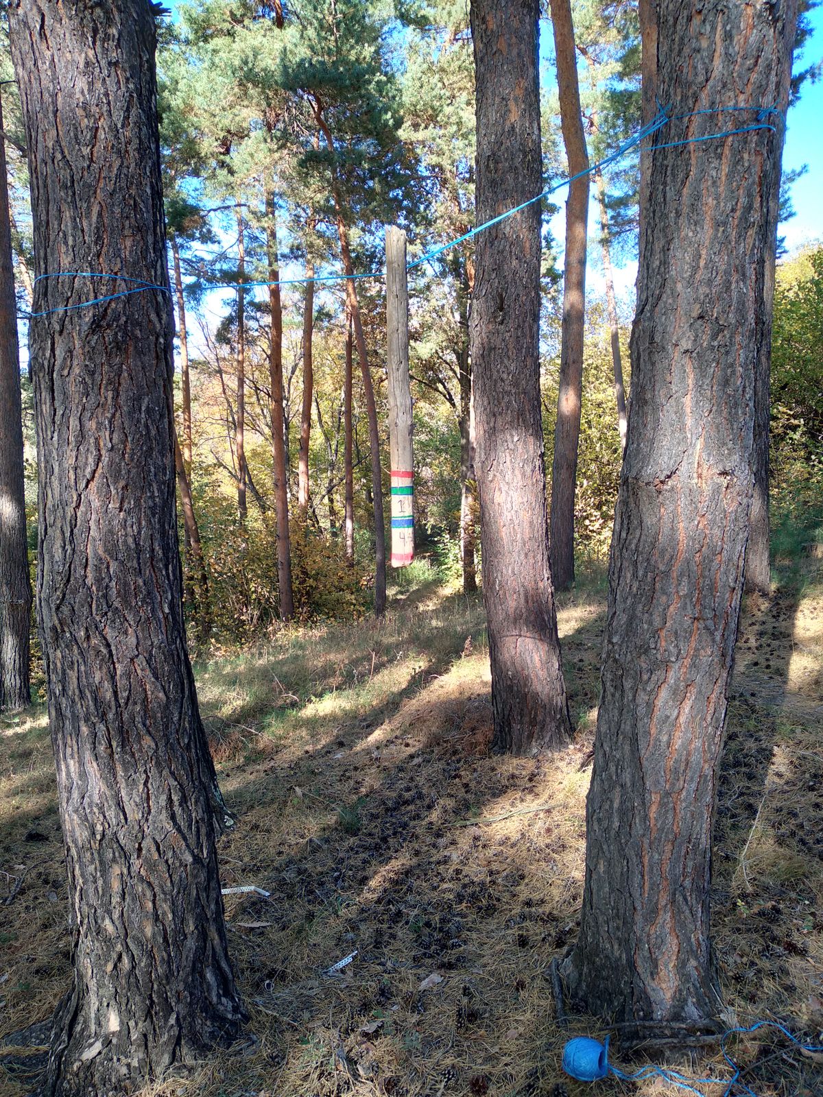 Hole 1 and Hole 4 Tone Pole