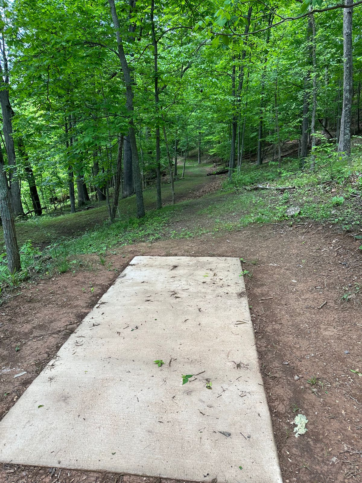 Hole 6 Tee Box