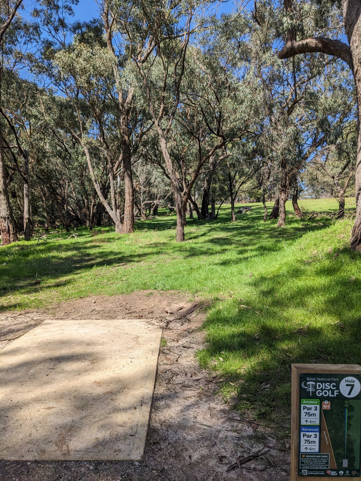 Hole 7