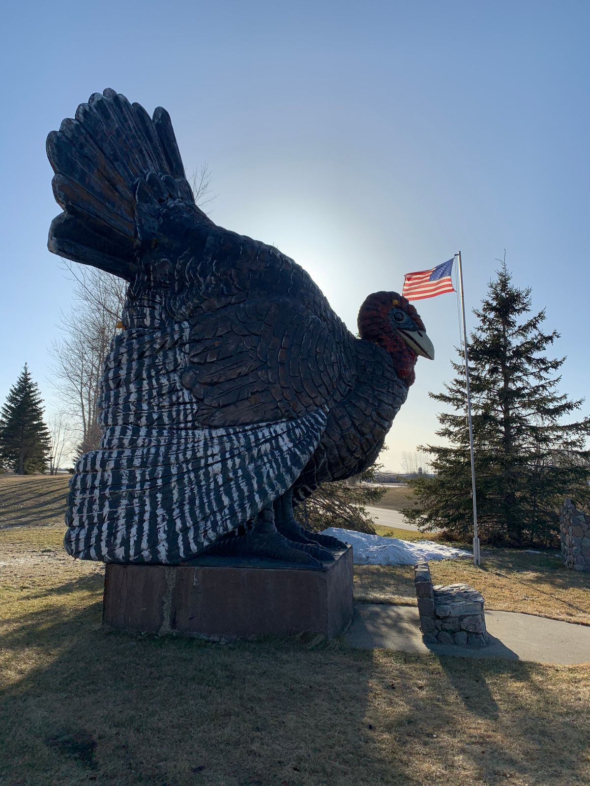 World’s largest turkey near hole 5 basket.