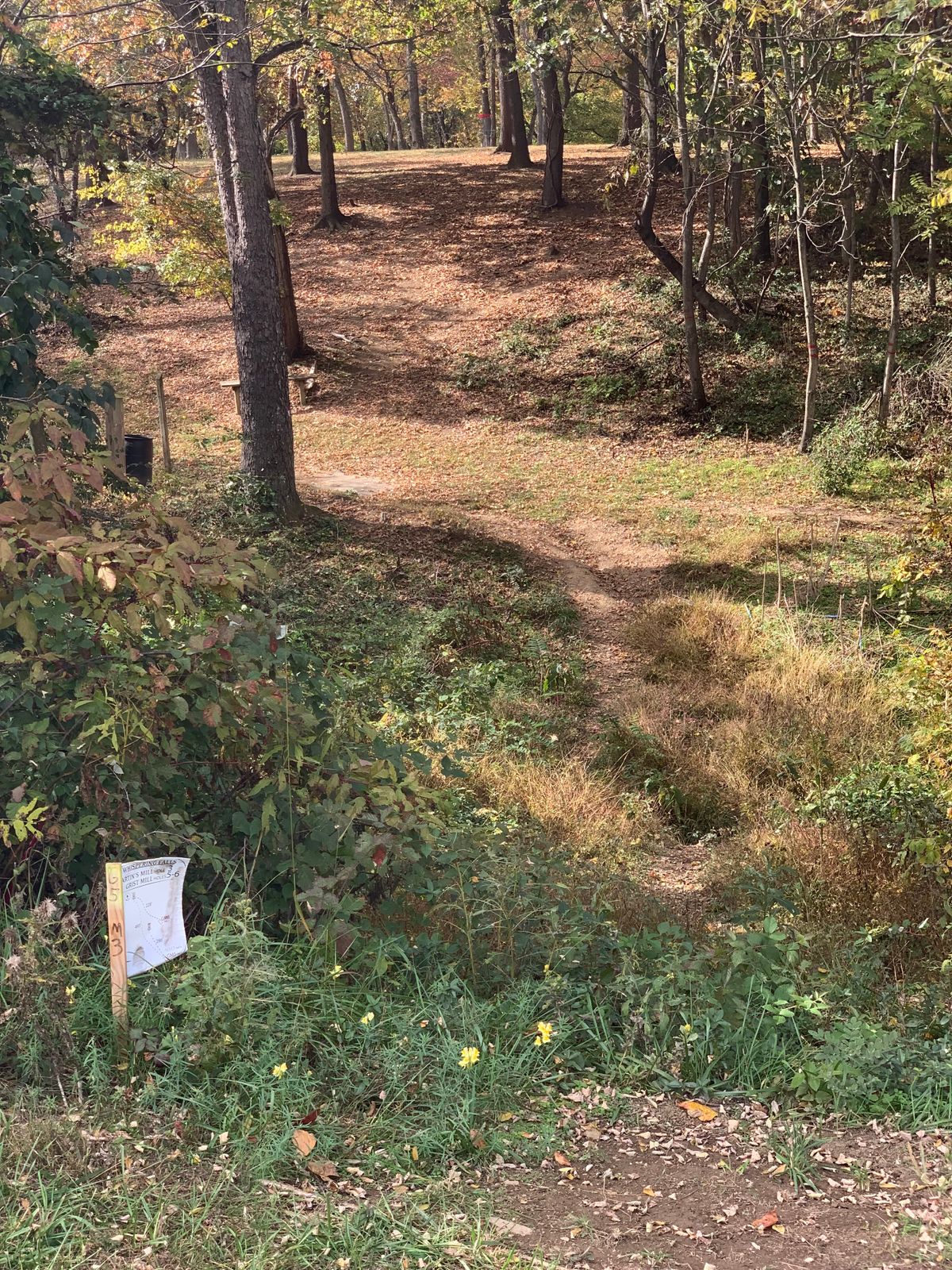 Hole 5, low ceiling