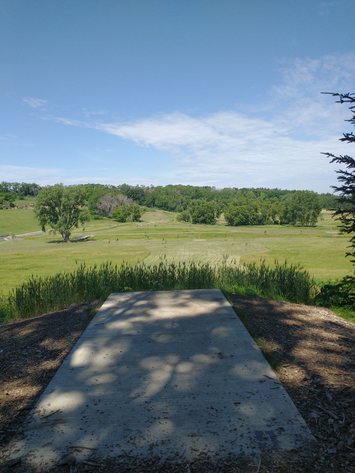 Hole 9 I'd a big downhill drop.
