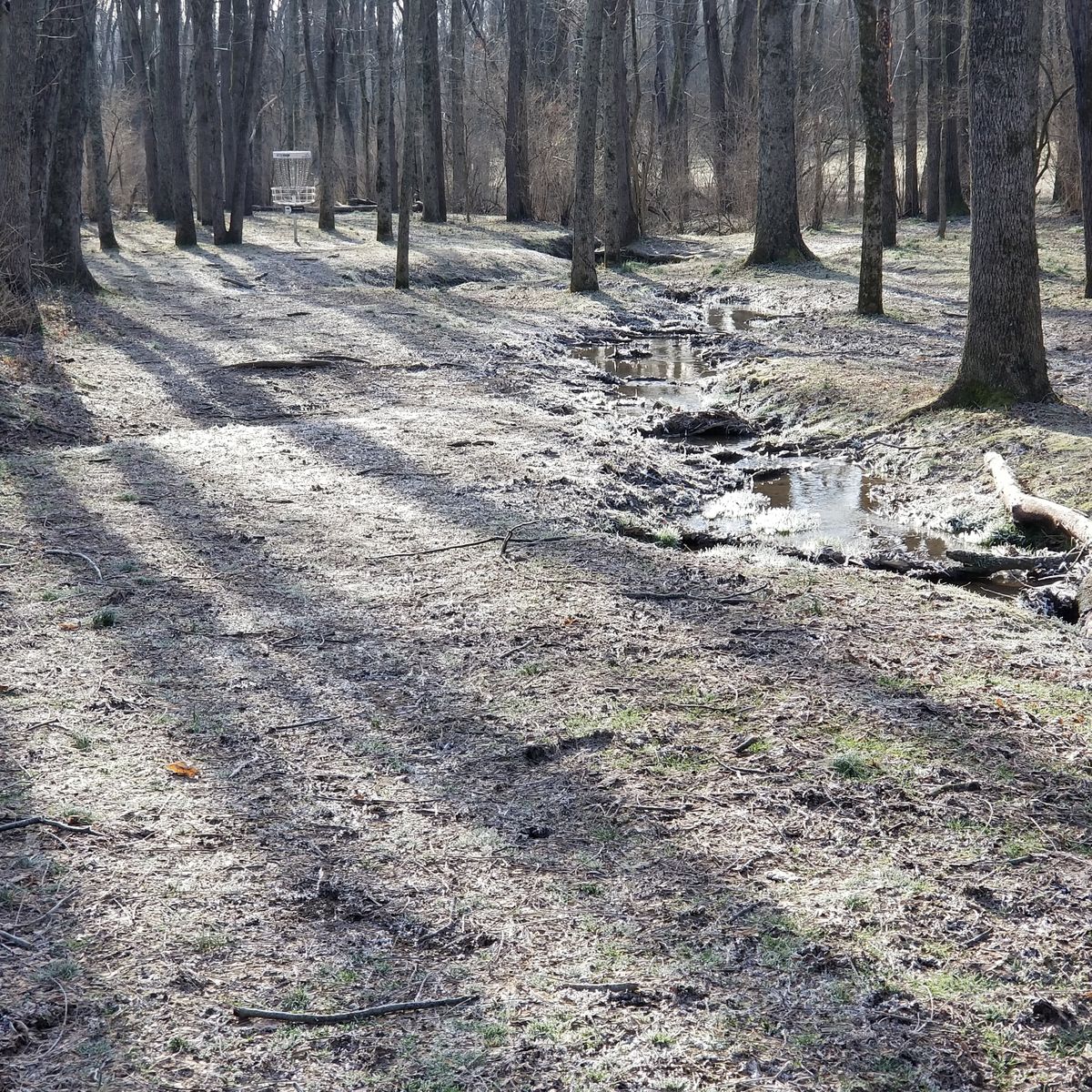 Hole 14 from the fairway