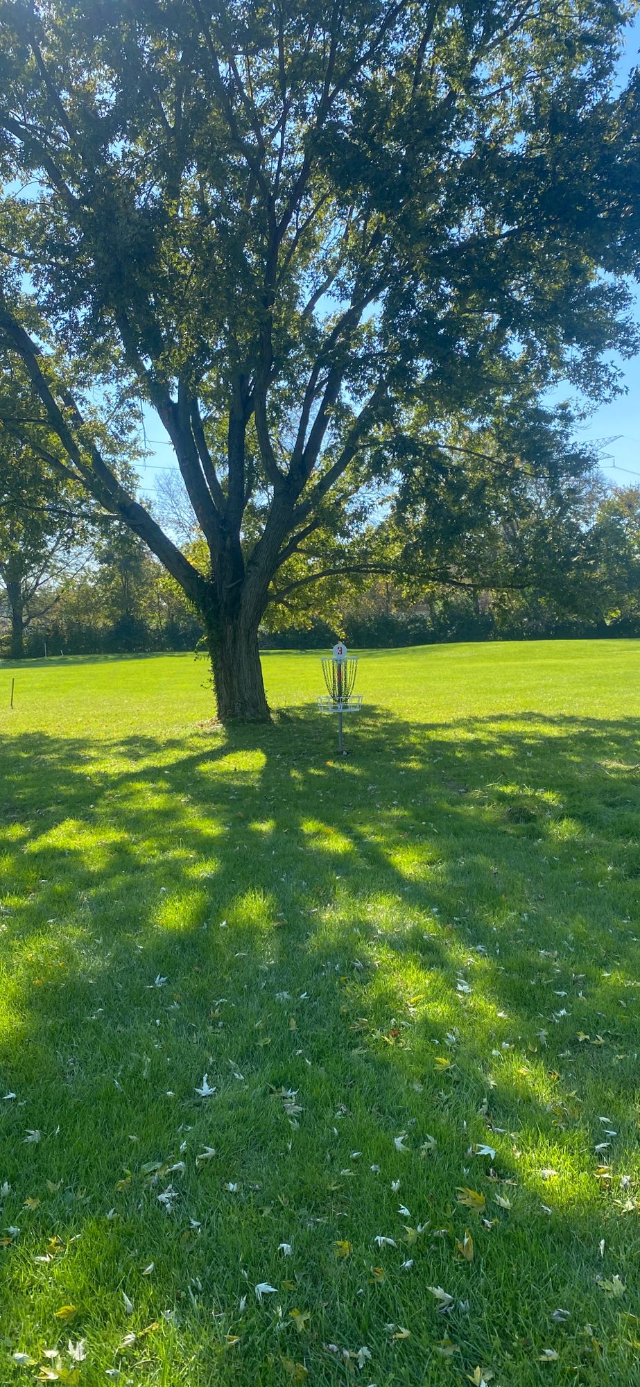 Hole 3 green