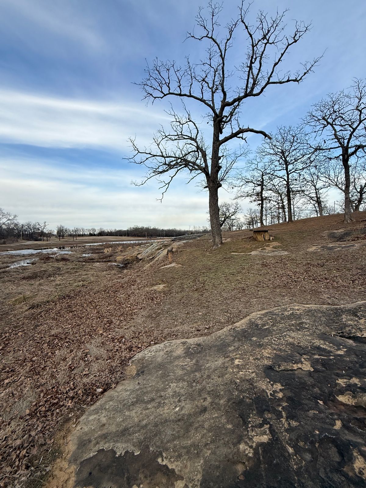 Hole 7 fairway and basket