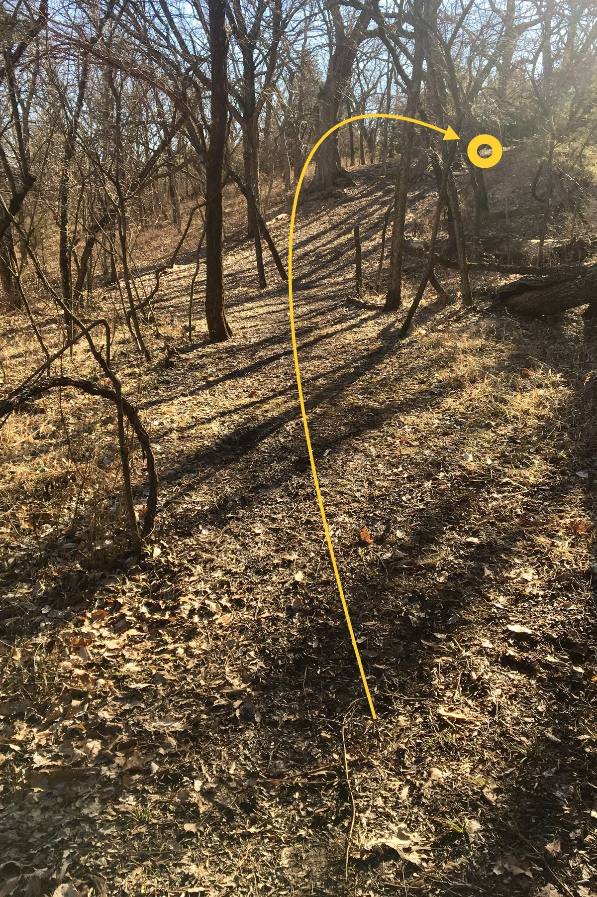 Hole 7 Tee