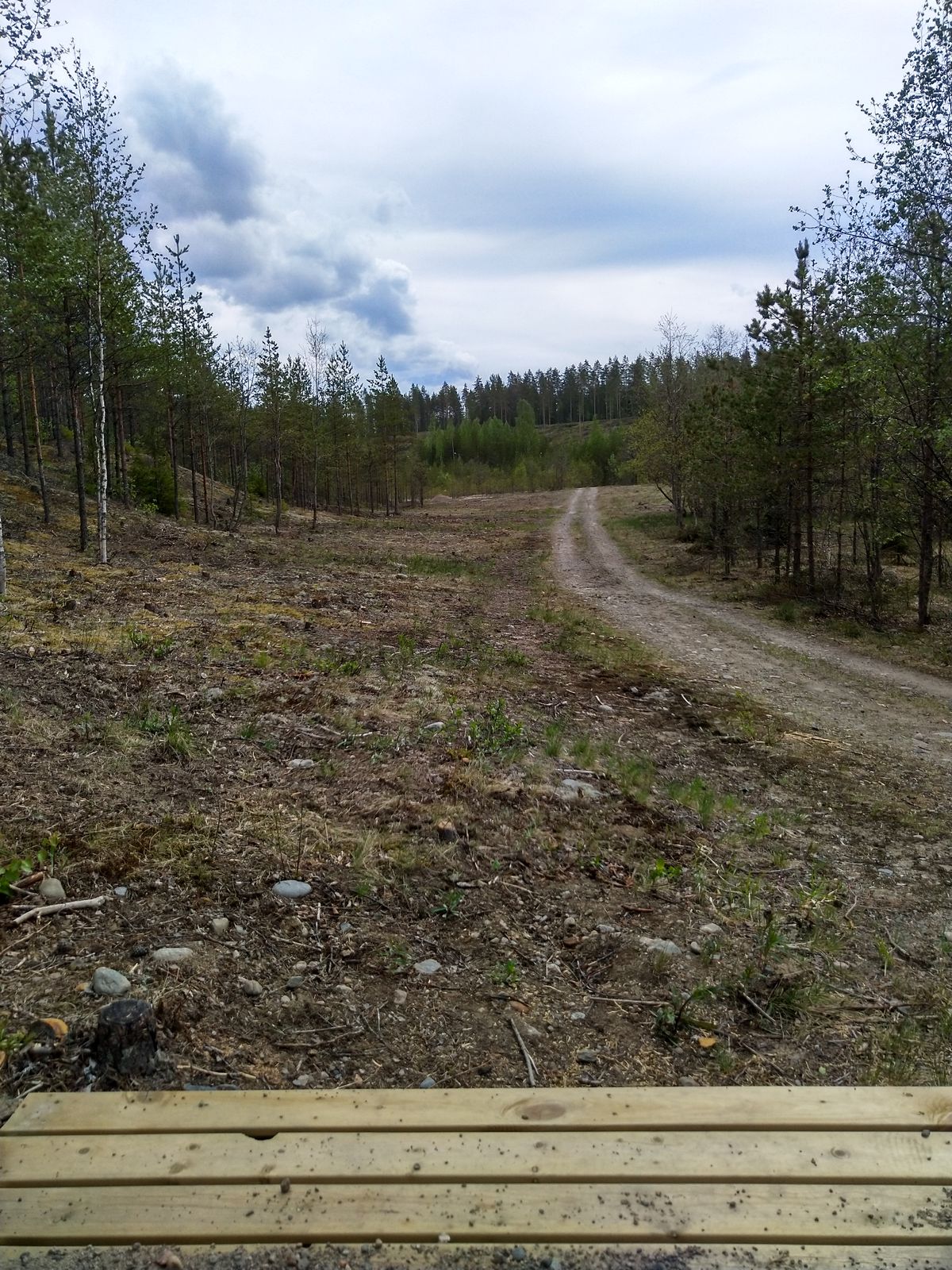 Tarinalaakso New Course väylä 4
