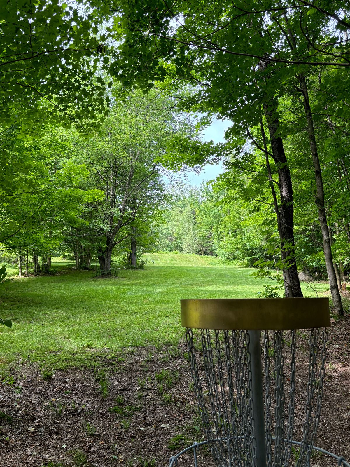 Hole 18 basket