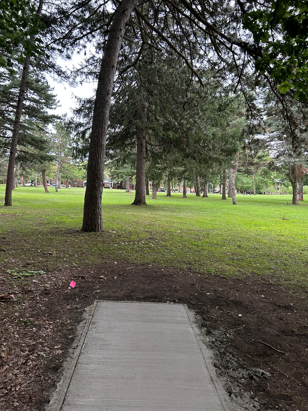 Hole 4 tee pad