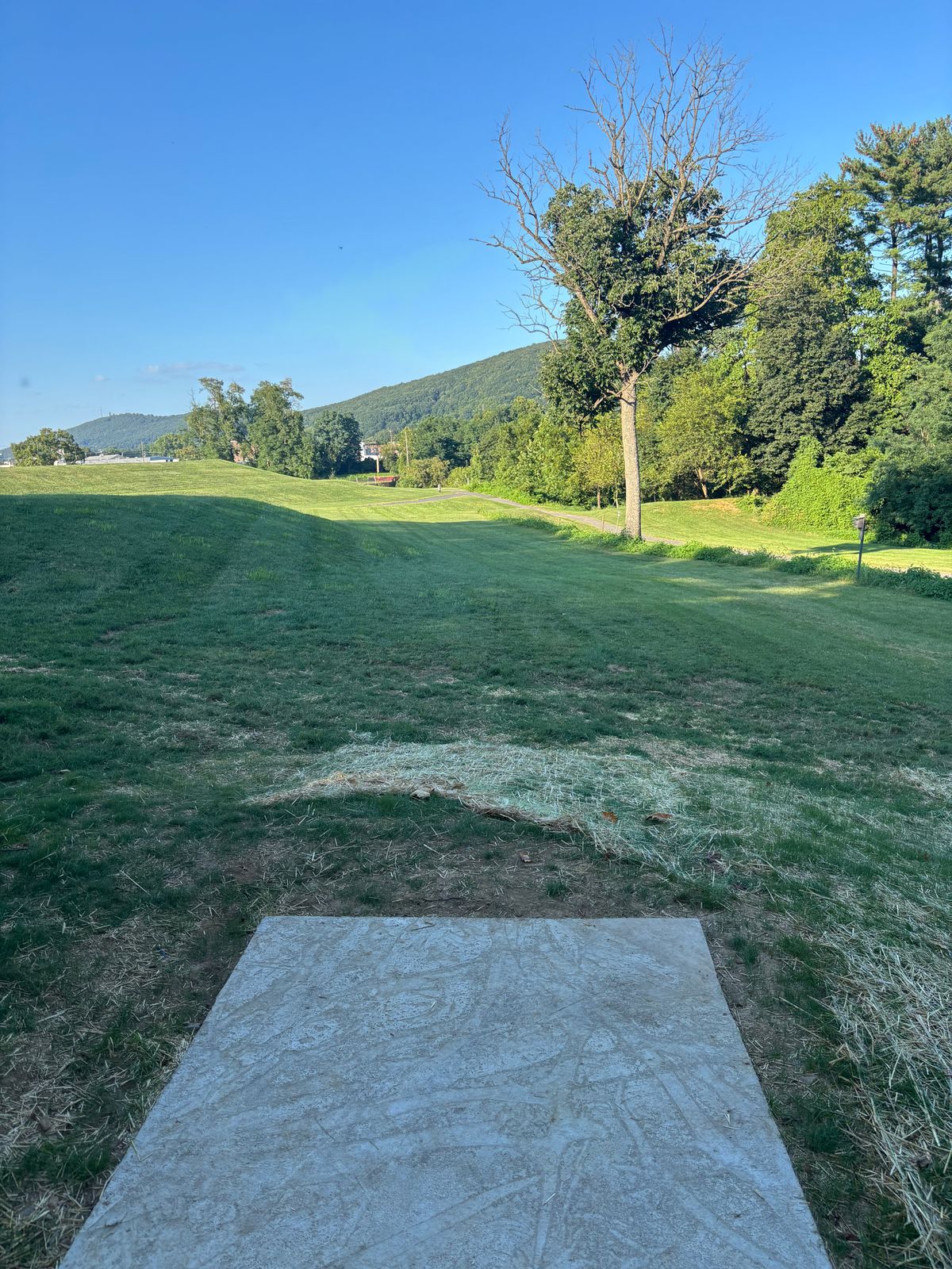 Tee #5 is further up the hill from old tee and angle adds some length but you are throwing downhill