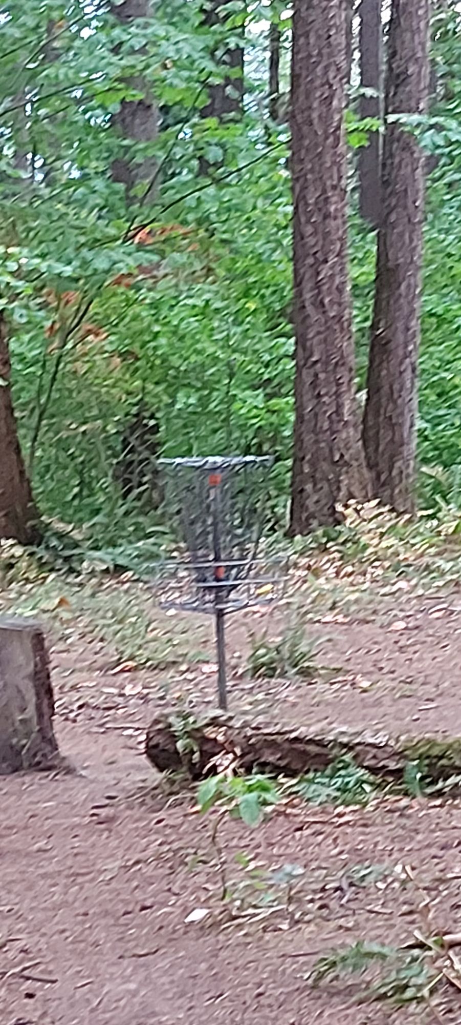 Reverse back up the fairway on hole 13.🪵🌿🪵🌿🪵🌿