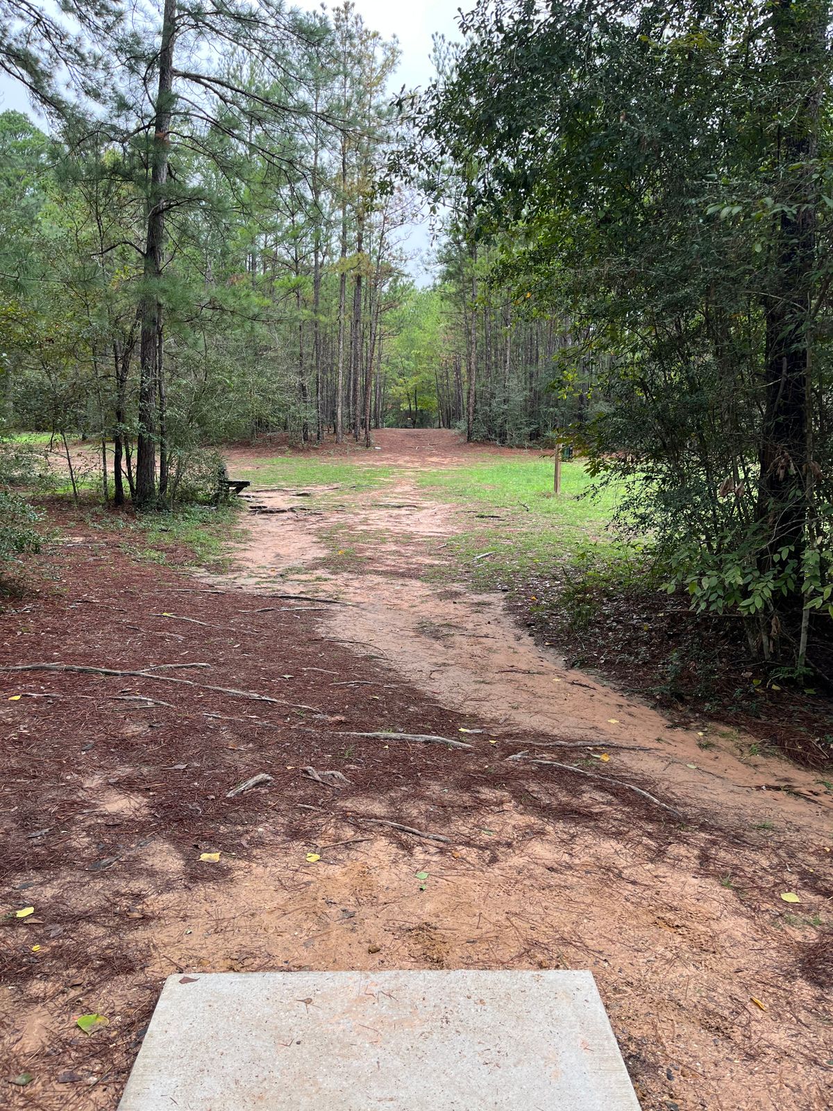 Hole 18 11/11/23