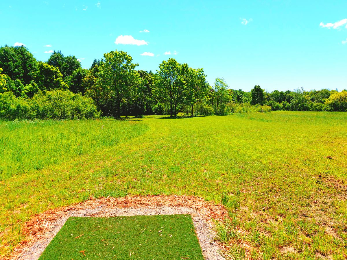 Hole five 🌳🪵🌳🪵🌳 hardest hole on the course.